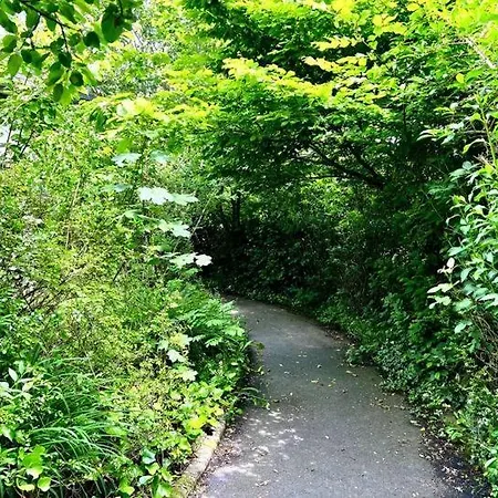 Hill *