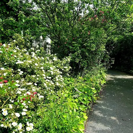 公寓 Hill *